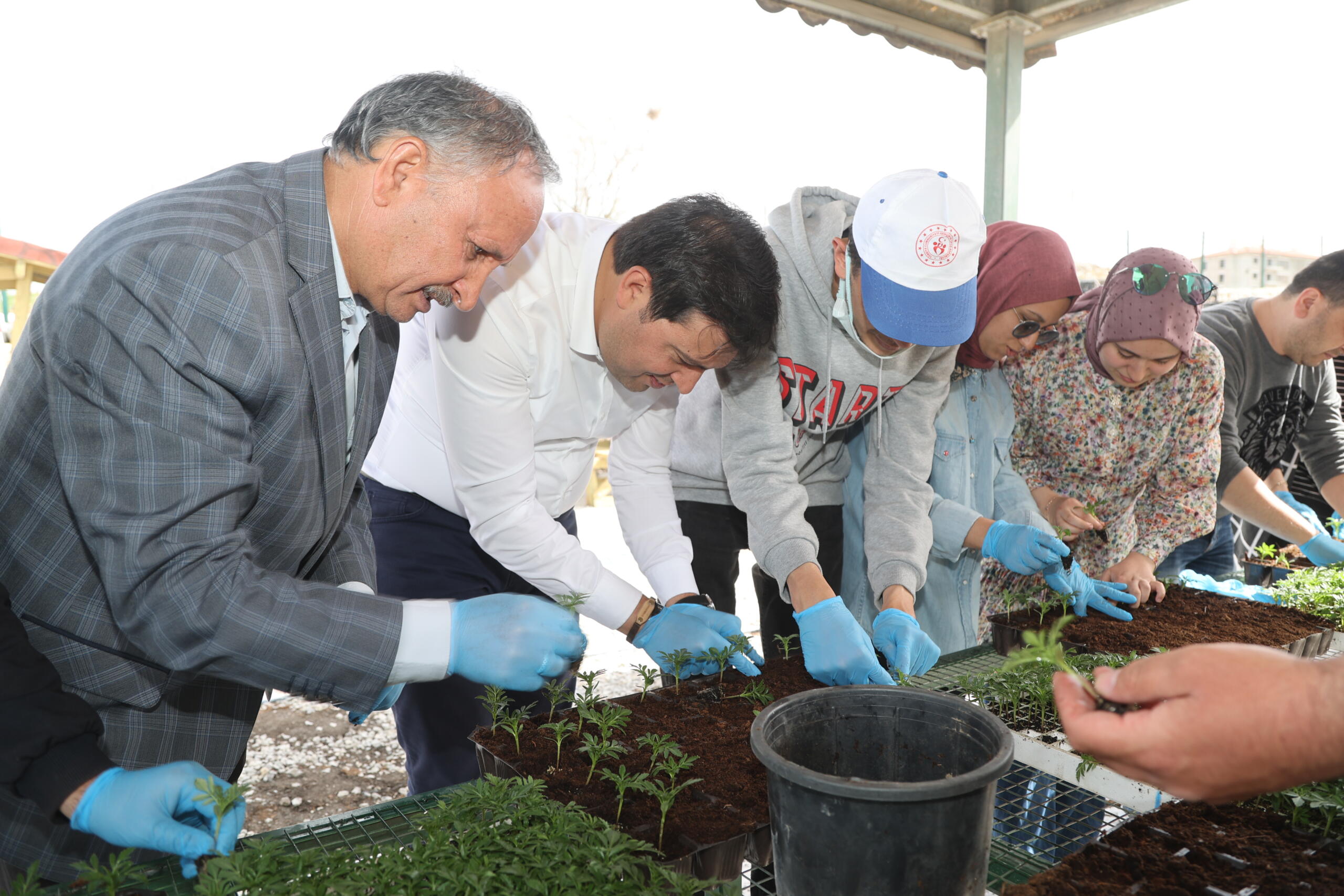 Uşak Belediyesi Ata Tohumunun Devamlılığını Sağlayacak Çiçekler toprakla Uşak ahenkle buluşuyor Uşak Belediyesi Park ve Bahçeler Müdürlüğü, Belediye bünyesinde kurulan sera