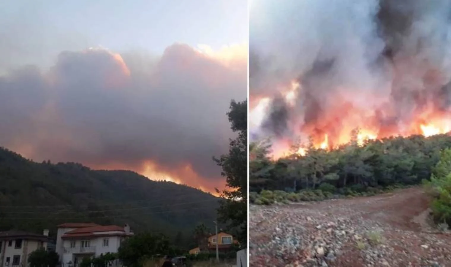 Muğla’nın Marmaris ilçesinde akşam saatlerinde ormanlık alanda çıkan ve rüzgarın
