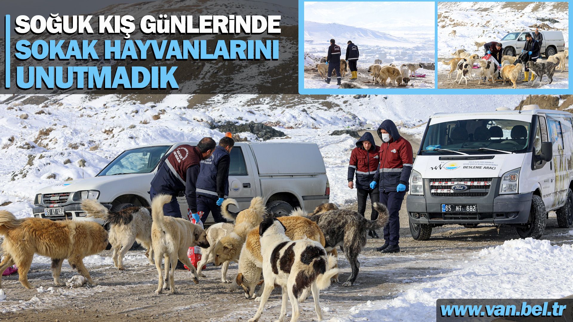 Van’da kar yağışı ve soğuk hava nedeniyle yiyecek bulmakta zorlanan