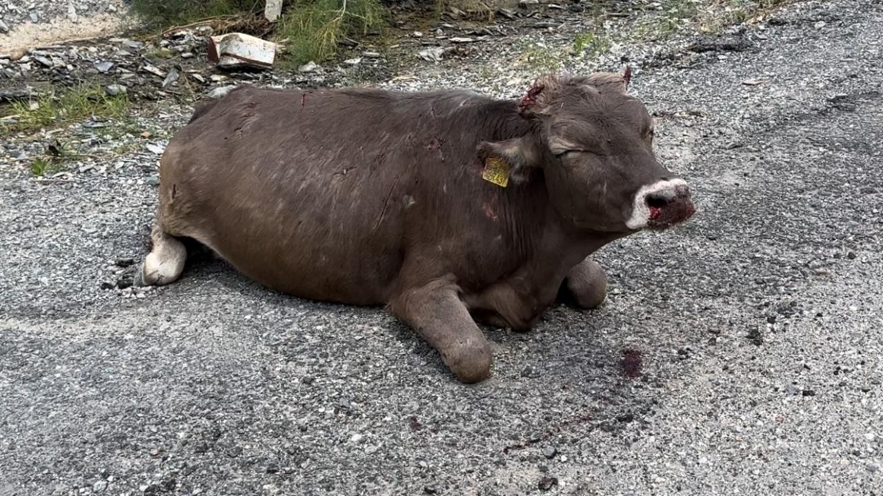 Hakkari-Van yolu üzerindeki 500 metrelik bir kayalıktan düşen inen ağır