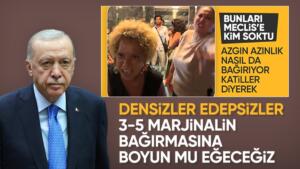 Cumhurbaşkanı Erdoğan, TBMM'de bazı hayvanseverlerin slogan atarak ortalığı karıştırmaya çalışmasına