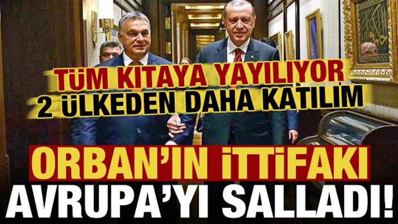 Belçika ve Hollanda'nın aşırı sağcı partileri, Macaristan Başbakanı Victor Orban'ın