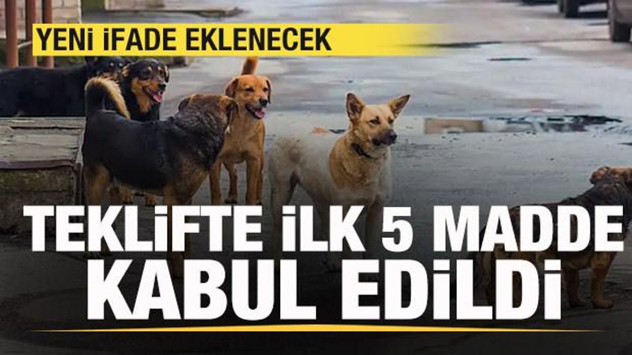 TBMM Genel Kurulunda, sahipsiz hayvanlara yönelik düzenlemeler içeren Hayvanları Koruma
