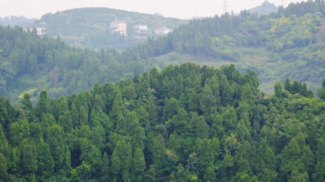 Amasya, Bingöl, Kastamonu, Kütahya, Manisa, Niğde, Mersin, İstanbul ve Samsun'da