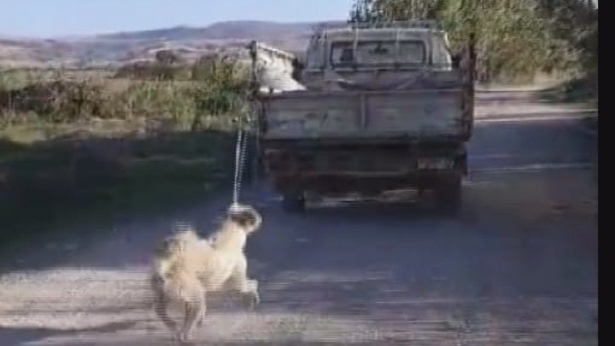 Suluova'da kimliği belirsiz şahsın köpeğini iple kamyonetin arkasına bağlayıp sürükleyerek
