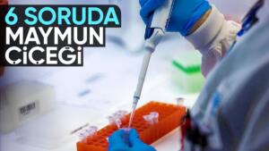 Cumhurbaşkanlığı İletişim Başkanlığı, M çiçeği (mpox) hastalığına ilişkin merak edilen