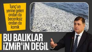 İzmir Körfezi'nde yaşanan balık önemleriyle ilgili konuşan İzmir Büyükşehir Belediye