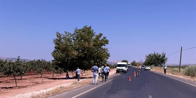 Şanlıurfa'nın Bozova ilçesinde fıstık bahçesinde öğretmen Yasin Kayran'ın (24) cesedi