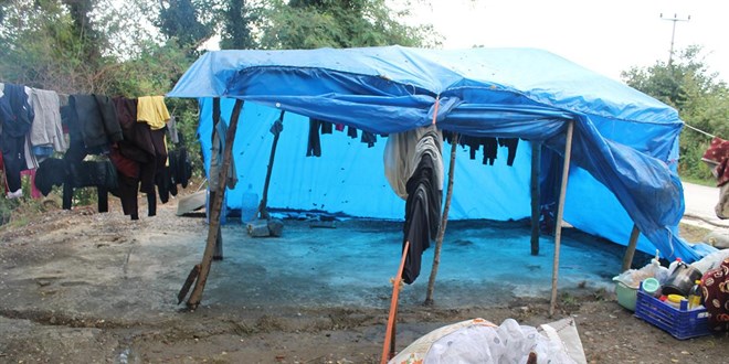 Samsun'un Terme ilçesinde etkili olan sağanak nedeniyle mevsimlik tarım işçilerinin