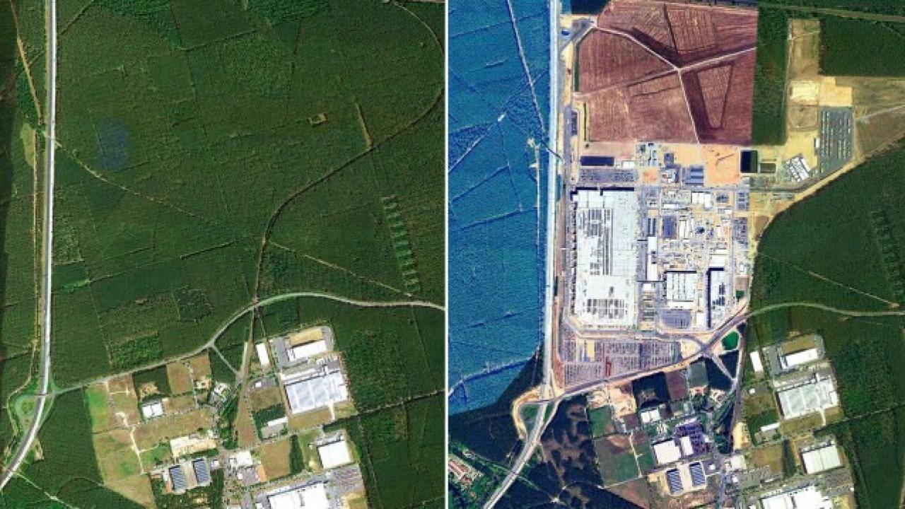 Berlin yakınlarındaki Tesla fabrikasının sahasında yaklaşık 500 bin ağaç kesildi.