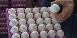 Tarım ve Orman Bakanlığı Gıda ve Kontrol Genel Müdürlüğü, üzerinde