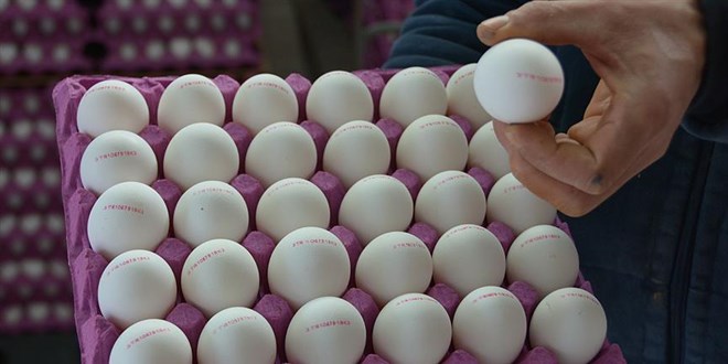 Tarım ve Orman Bakanlığı Gıda ve Kontrol Genel Müdürlüğü, üzerinde