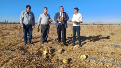 Gürer: “Ekim dönemi geldi. Gübre fiyatı arttı. Sahte gübreye dikkat”