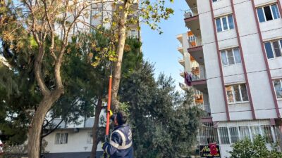 Efeler Belediye Başkanı Anıl Yetişkin ve Efeler Belediyesi Park ve