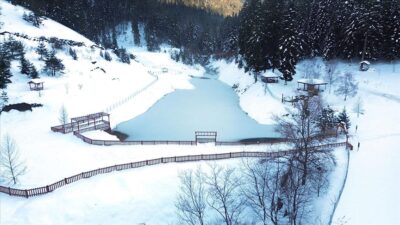 Kastamonu’nun Bozkurt ilçesinde kar yağışının ardından beyaza bürünen Deresökü Orman