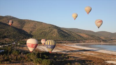 Türkiye Seyahat Acentaları Birliği (TÜRSAB) Başkanı Firuz Bağlıkaya, Sivil Havacılık
