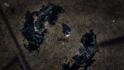 Dünya serbest dalış rekortmeni Şahika Ercümen, son yıllarda daha sık