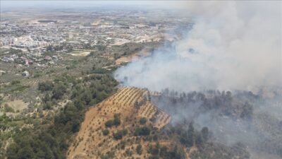 Hatay’ın merkez Antakya ilçesinde, yerleşim yerlerine yakın noktada çıkan orman
