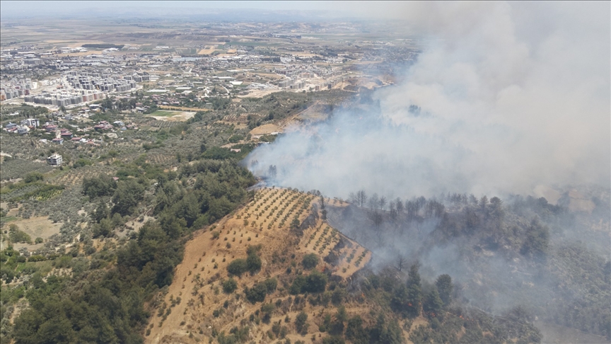 Hatay’ın merkez Antakya ilçesinde, yerleşim yerlerine yakın noktada çıkan orman