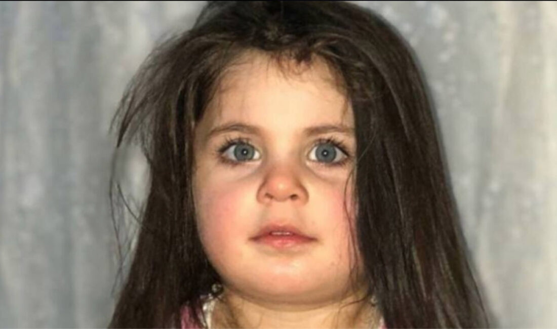 Ağrı’da 4 yaşındaki Leyla Aydemir’in ölümüne ilişkin davada duruşma 11