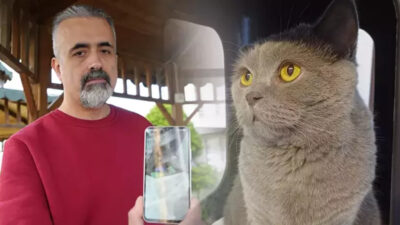 Samsun’da bir ailenin kuduz aşısı sonrası kedilerinin öldüğünü iddia etmesi