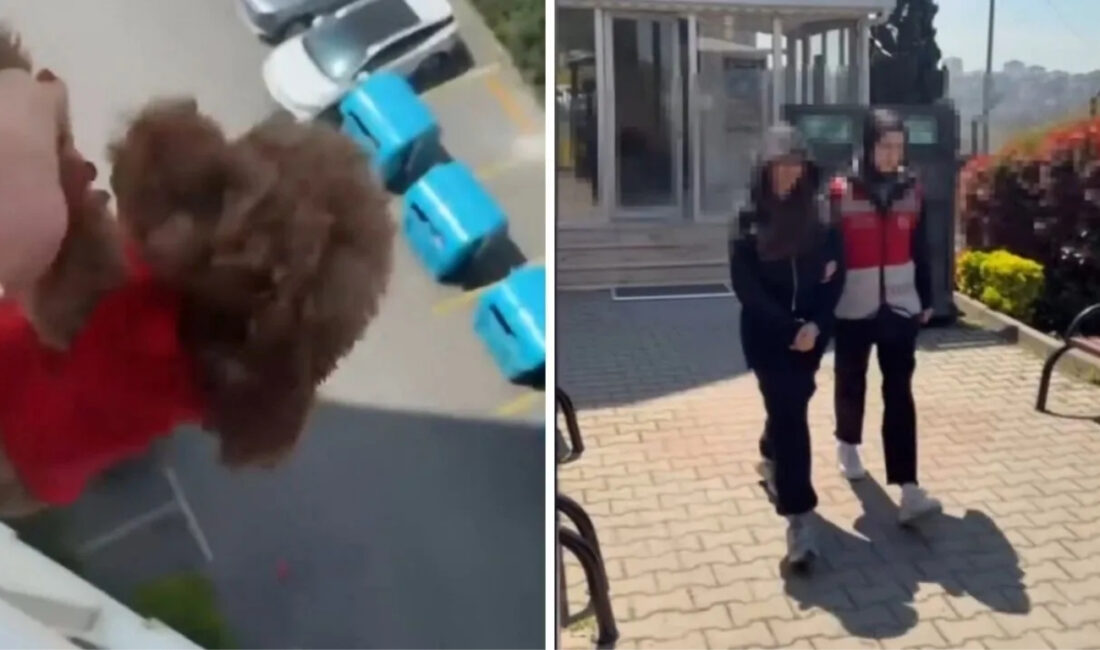 Başakşehir’de köpeğini camdan sarkıtarak kayda alan kadının görüntüleri infial yarattı.