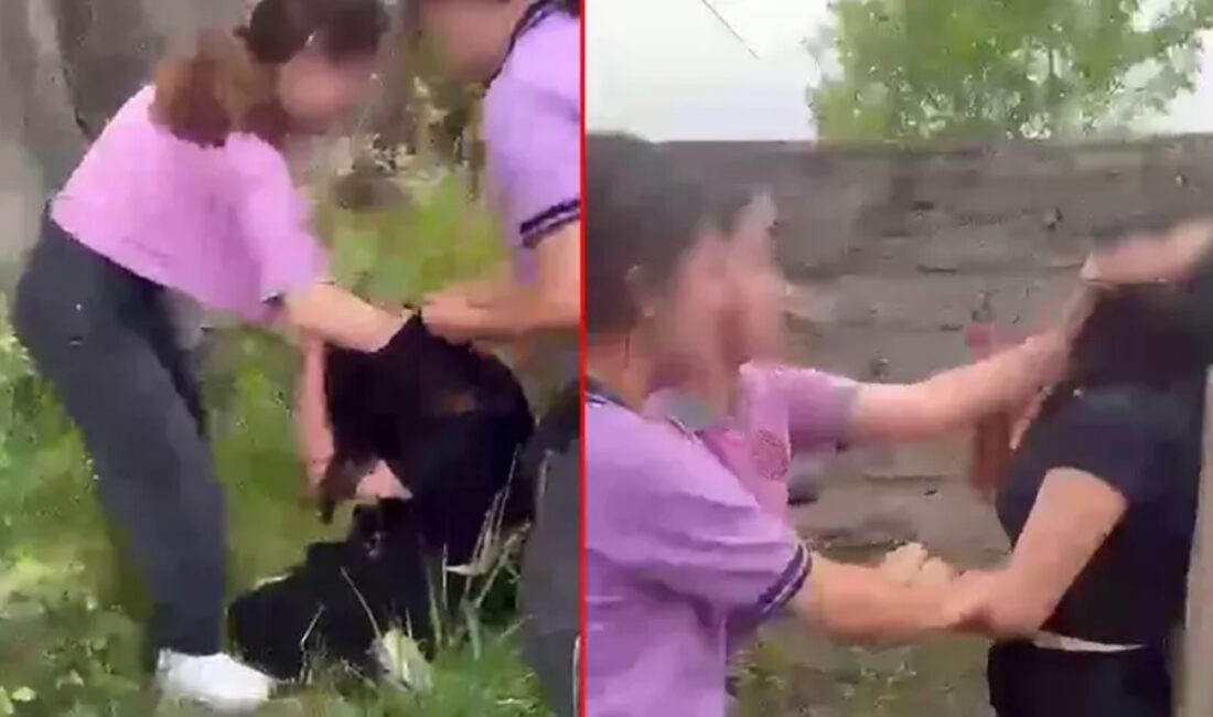 Ortaca’da yaşanan akran zorbalığı olayında iki lise öğrencisinin küçük bir