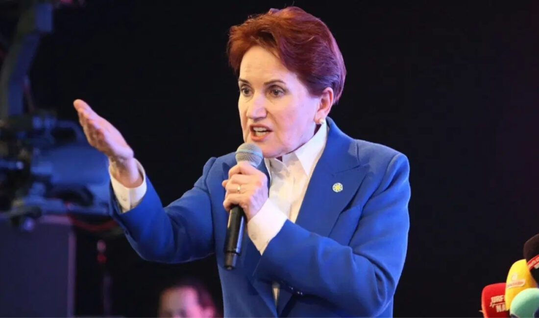 İYİ Parti Kurucu Genel Başkanı Meral Akşener, adına kurulan vakıfla