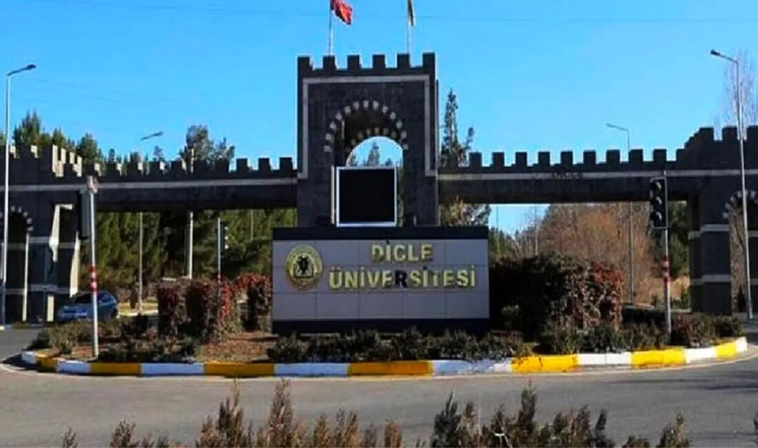Diyarbakır Dicle Üniversitesi yerleşkesinde yapılan sismik çalışmalar sonucu petrol rezervi
