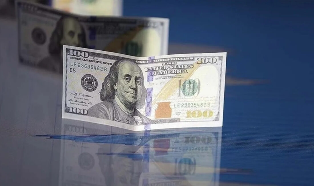 Merkez Bankası ve BDDK verileri, vatandaşın yatırım tercihlerinde dövizin gözden