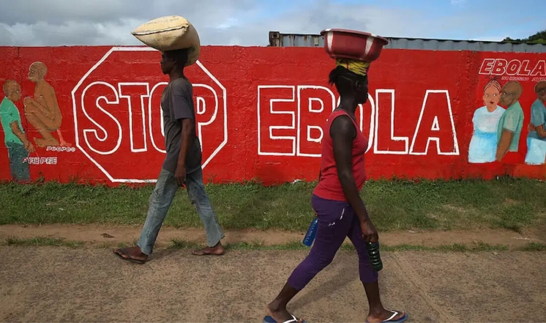 Dünya Sağlık Örgütü, Demokratik Kongo Cumhuriyeti ve Uganda’da yayılan nadir