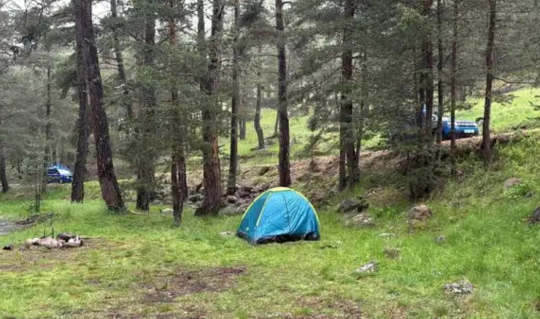 Bolu’nun Aladağ bölgesinde piknik yapan 11 kişilik ailenin sığındığı ağaca