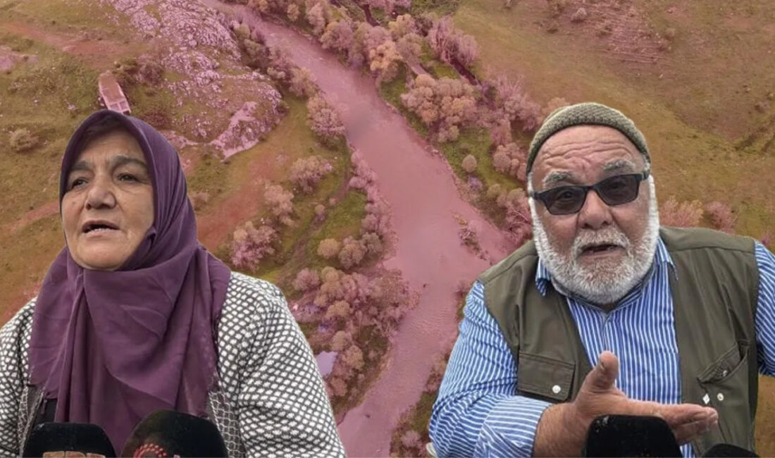 Bolu’nun Gerede ilçesinde sanayi atıklarının Gerede Çayı’na karıştığı iddiası bölgede