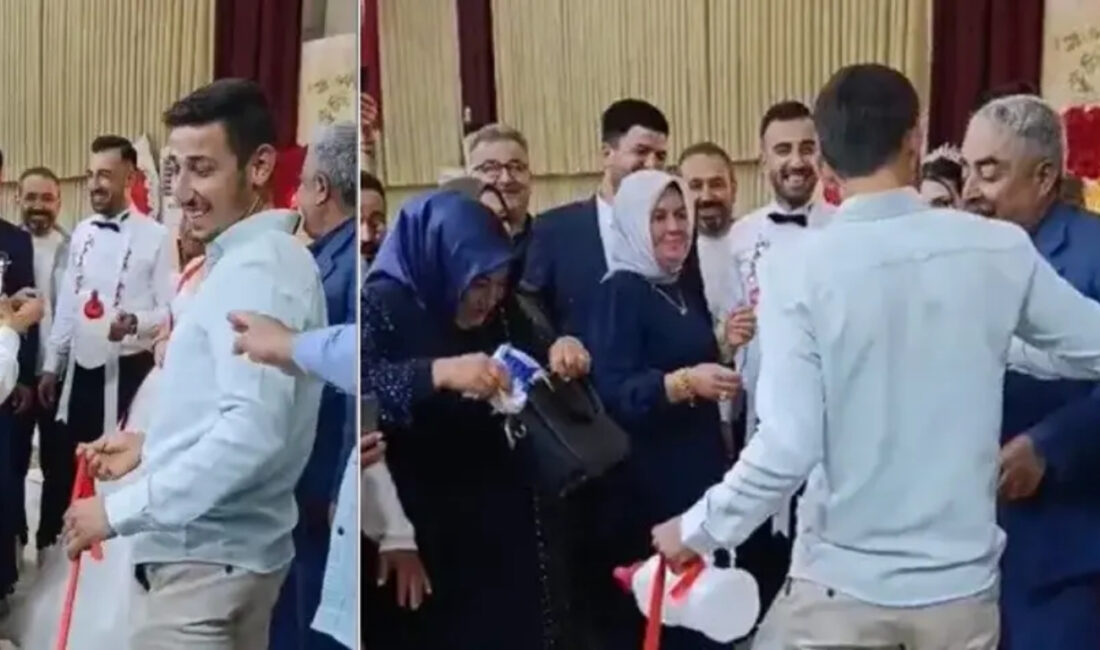 Osmaniye’de bir düğünde altın yerine buzağı hediye edilmesi gündem oldu.