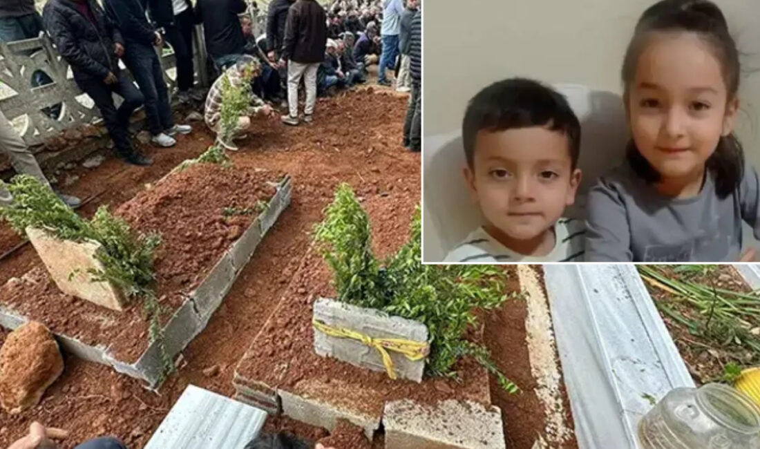 Mersin’in Bozyazı ilçesinde mide bulantısı ve kusma şikâyetiyle hastaneye kaldırılan