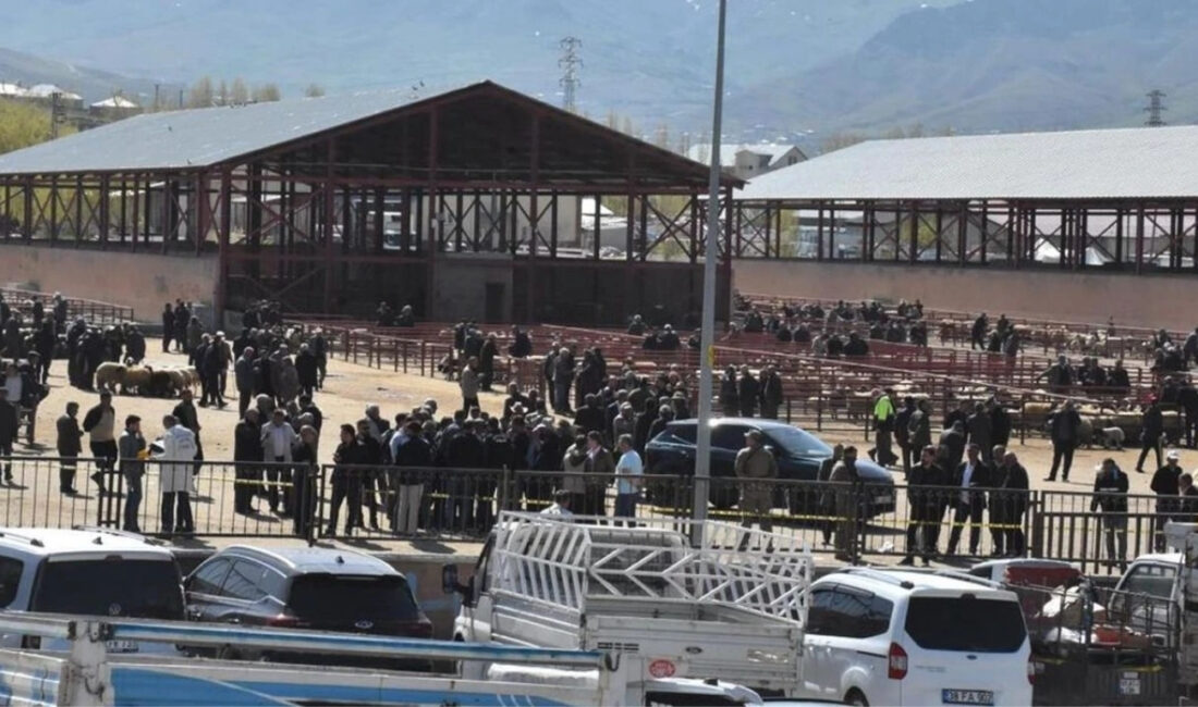 Van’daki canlı hayvan pazarında iki grup arasında çıkan taşlı, sopalı