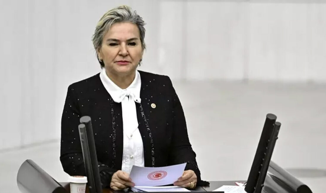 İYİ Parti ve CHP’de farklı dönemlerde görev yapan Nimet Özdemir,