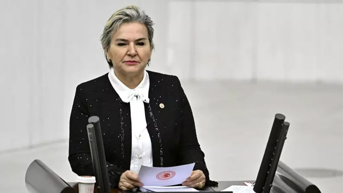 İYİ Parti ve CHP’de farklı dönemlerde görev yapan Nimet Özdemir,