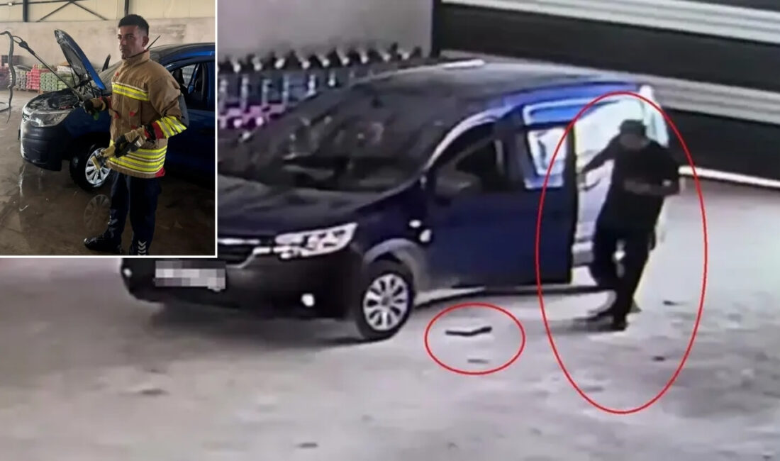Türkiye’nin en zehirli yılan türlerinden biri olarak bilinen koca engerek