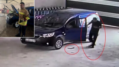 Türkiye’nin en zehirli yılan türlerinden biri olarak bilinen koca engerek