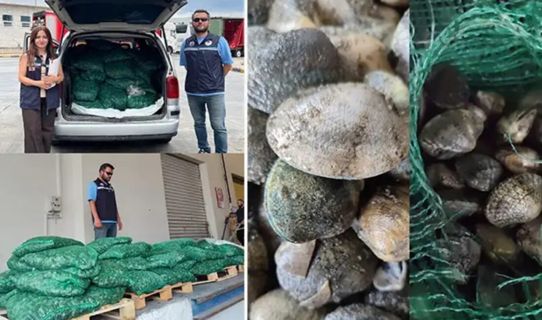 Kapıkule Sınır Kapısı’nda yapılan denetimde bir araçta yasa dışı yollarla