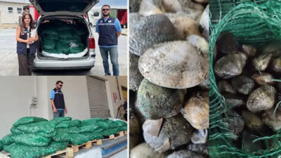 Kapıkule Sınır Kapısı’nda yapılan denetimde bir araçta yasa dışı yollarla