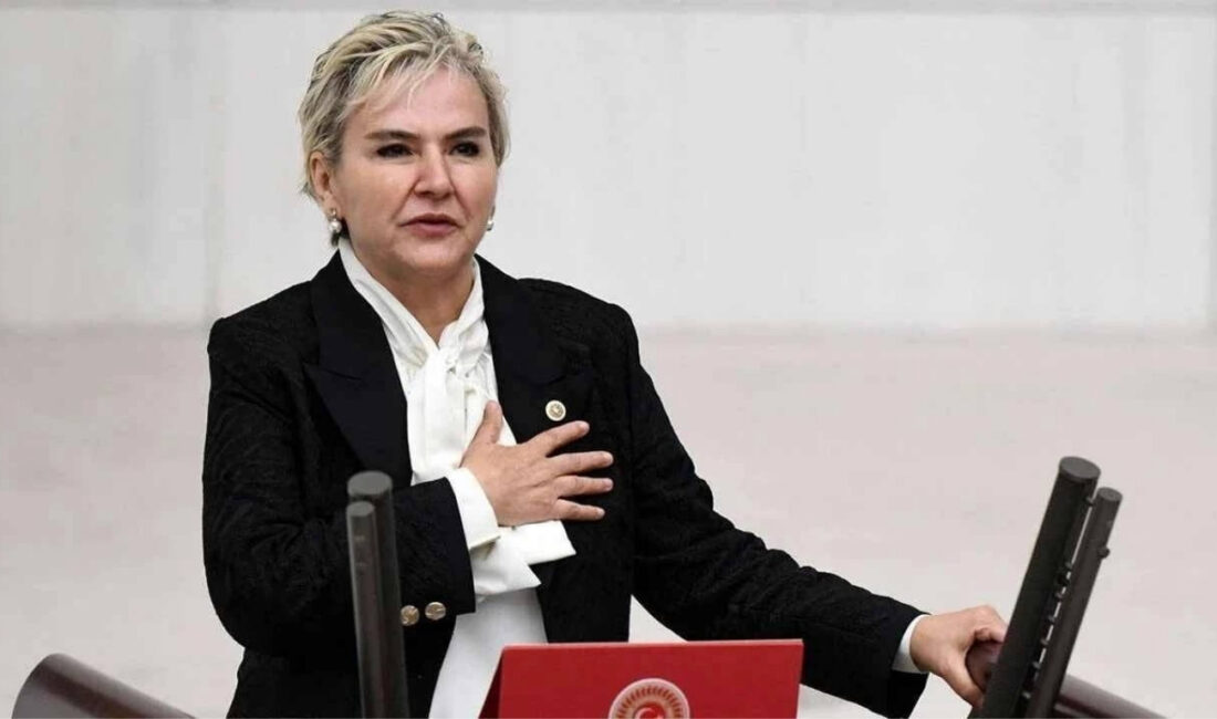 AK Parti’ye geçen İstanbul Milletvekili Nimet Özdemir’in TBMM biyografisinde yer